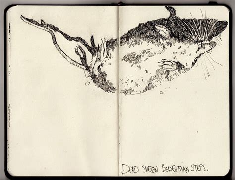 Ian Sidaway Fine Line Moleskine Art Drawing Images Sketchbook