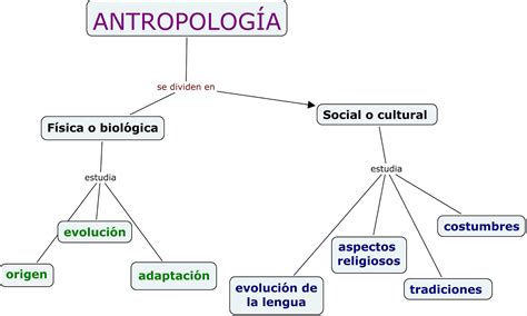 AntropologÍa Y EducaciÓn Ramas De La AntropologÍa