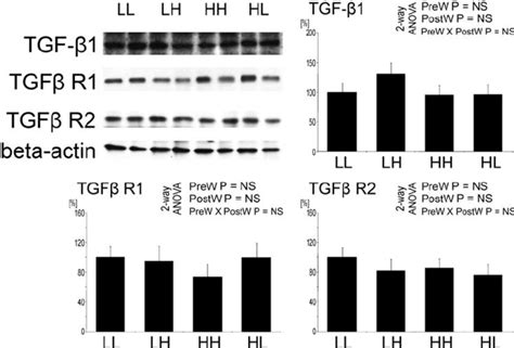 Expression Of Transforming Growth Factor β 1 Tgf β 1 Tgf β Type 1 Download Scientific