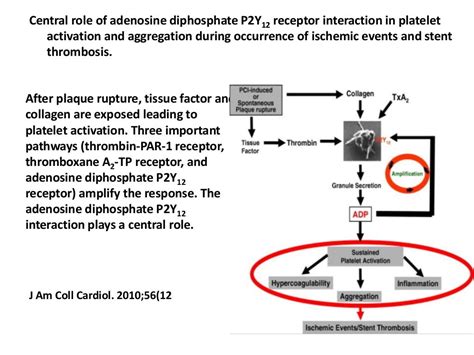 Clopidogrel resistance