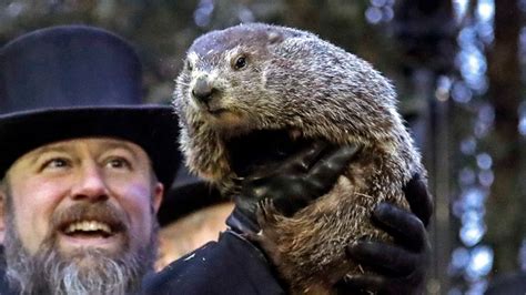 Groundhog Day Early Spring Prediction By Punxsutawney Phil