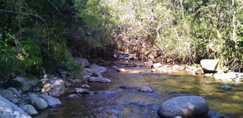 Histórico Se declara el río Surba como sujeto de derechos Diario