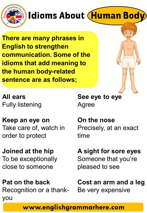 Idioms About Human Body List Of Human Body Idioms English Grammar Here