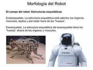 Morfologia Del Robot PPT