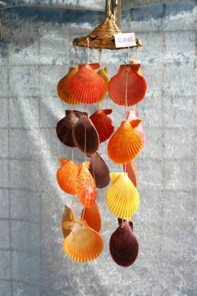 Decorazioni Per La Casa Con Le Conchiglie