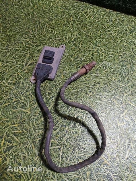 Daf Nox Sensor For Daf Xf Truck Tractor For Sale Belarus Brestskiy