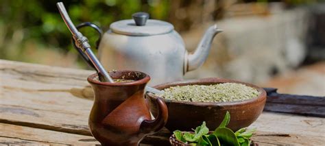 Qué Es Y Cómo Se Recorre La Ruta De La Yerba Mate En Argentina El Taragüí