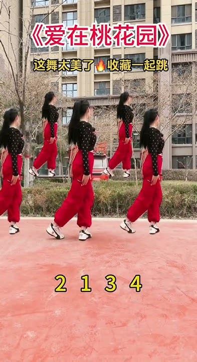 广场舞《爱在桃花园》32步🥰好看又好学 Shorts Dance 舞蹈 跳舞 广场舞 Youtube