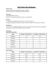 Hon Bio Module Cell Cycle Lab Docx Cell Cycle Lab Report