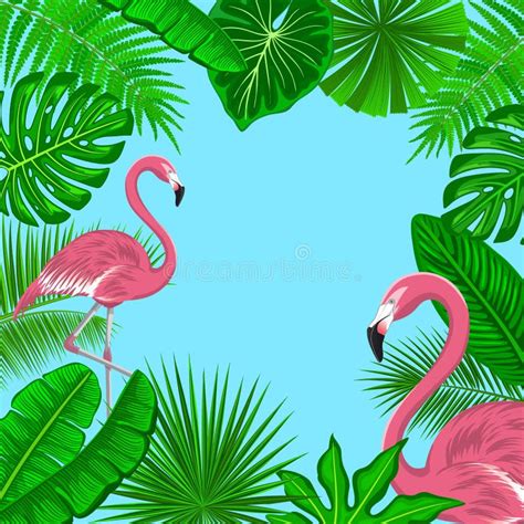 Tropical Background Frame With Exotic Jungle Leaves And Pink Flamingos