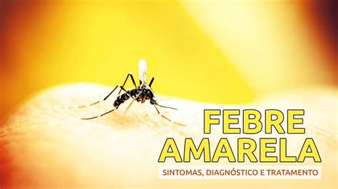 Febre Amarela Sintomas diagnóstico e tratamento YouTube