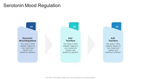 Serotonin Mood Regulation In Powerpoint And Google Slides Cpb PPT Sample