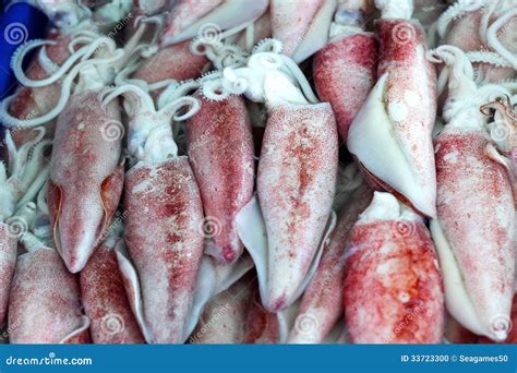 Fresh Squid In The Market Stock Photo Image Of Cooking 33723300