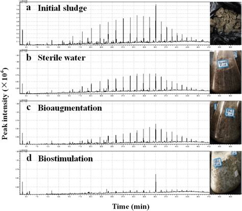 Gas Chromatographymass Spectrometry Chromatographs Of Total Petroleum