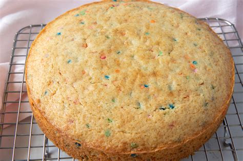 One Bowl Toaster Oven Funfetti Cake Chef Janet