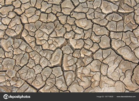 Barren Earth Dry Cracked Earth Background Cracked Mud Pattern Soil