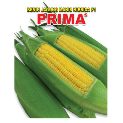 Jual Benih Jagung Manis F1 Prima 250 Gr Shopee Indonesia