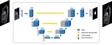 Figure 1 From Deep Learning Based Method For Fully Automatic