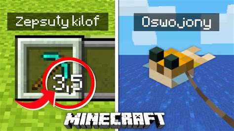 10 FAKTÓW o MINECRAFT o których NIE MIAŁEŚ POJĘCIA YouTube