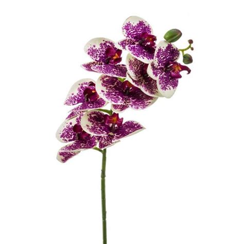 Acheter des Tige d orchidée Phalaenopsis en soie MERTI violet blanc 70cm