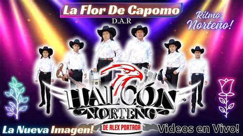 Halc N Norte O De Alex Portada La Flor De Capomo En Vivo Youtube