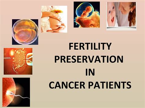 Fertility Preservation In Cancer Ppt