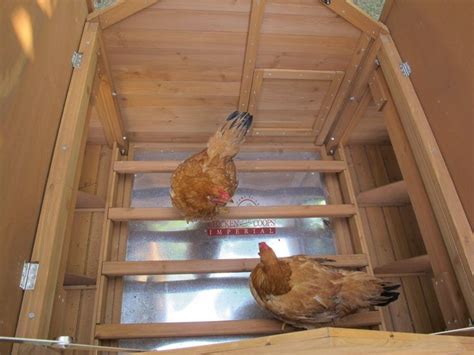 Chicken Coops Imperial Hühnerstall Savoy für 6 bis 8 Hühner Je nach