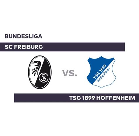 SC Freiburg TSG 1899 Hoffenheim Kurz Vor Schluss Doan Trifft Zum