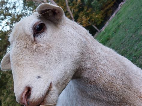 Grindstone Pastures Farm | Rochester Mills PA