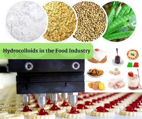 Action of Essential Hydrocolloids in the Food Industry