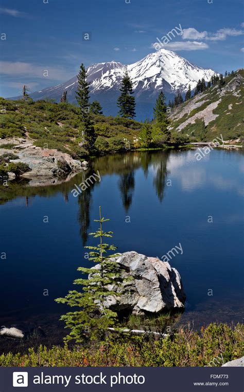 Ca02652 00california Mount Shasta And Shastina From Heart Lake In