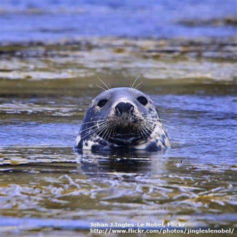 Learn About the Many Types of Seals