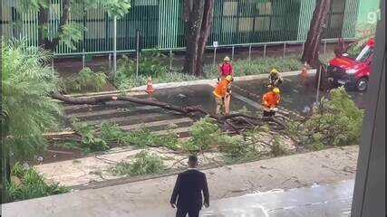 Chuva Causa Alagamentos E Queda De Rvores No Df Distrito Federal G