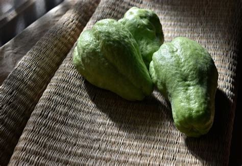 Arriba Imagen Chayote En Argentina Recetas Abzlocal Mx