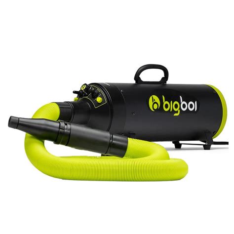 BigBoi BlowR Mini Touchless Twin Motor Car Blower Dryer