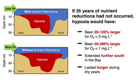 Modeling Shows Nitrogen Reductions Have Decreased Hypoxia In Chesapeake