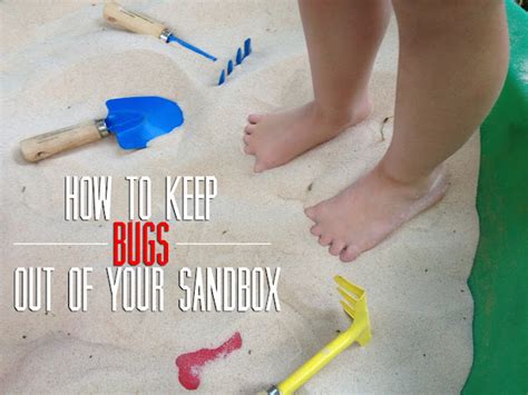 EAT+SLEEP+MAKE: Tips: Keep Bugs Out of Your Sandbox