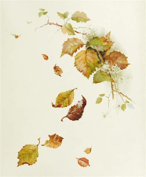 brown leaves on white surface photo – Free Illustration Image on Unsplash in 2022 | Autumn ...