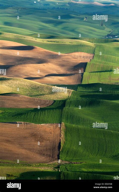 The Rolling Hills Of The Palouse A Farming Area In Eastern Washington