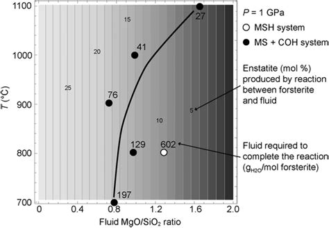 Thermodynamic Modeling Of Forsterite Reacting With A Fluid With