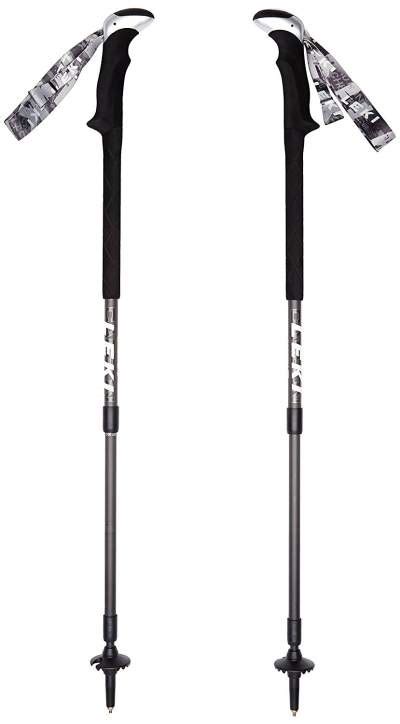 4 Great Hiking Poles With Camera Mount Capabilities | Mountains For ...