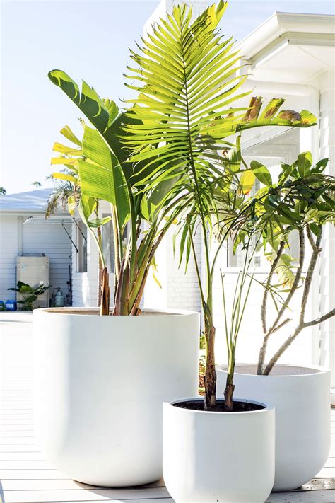 Ways Large Outdoor Planters Can Enrich Your Structure’s Entrance Vasos Exteriores Decoração