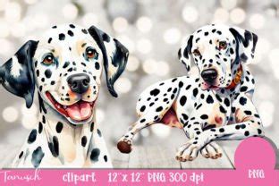 Watercolor Dalmatian Clipart PNG Graphic By TanuschArts Creative Fabrica