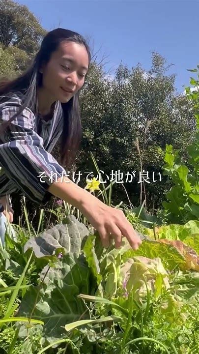 田舎に移住して8ヶ月。料理前に畑から野菜を収穫する暮らしがしたくて Youtube