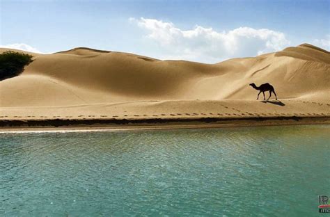 Balochistan National Heritage Darak Where The Desert Meets The Sea