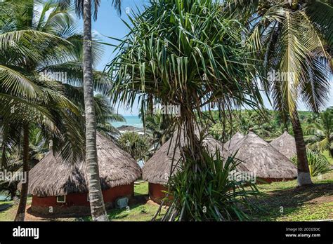 Bungalow With Thatched Roof And Built In The Old Traditional Way On A