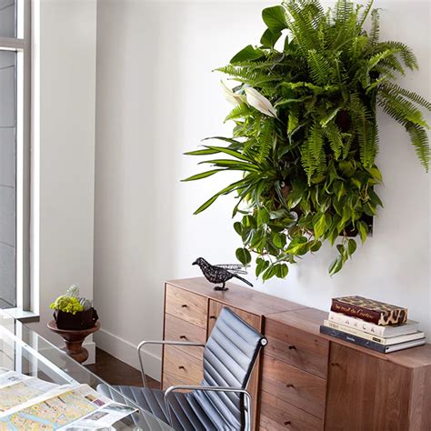 7 Simple + Genius Plant Wall Ideas – Love & Renovations