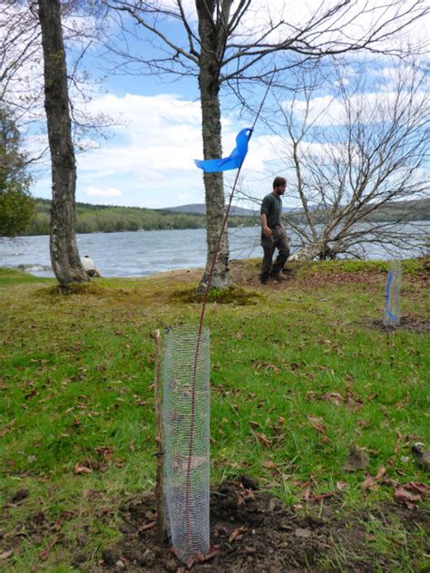 2015 Ecosystem Restoration Program Grant – Northwoods Stewardship Center