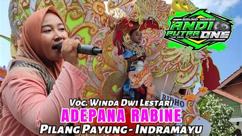 ANDI PUTRA 1 ADEPANA RABINE Voc Winda Dwi Lestari Pilang Payung