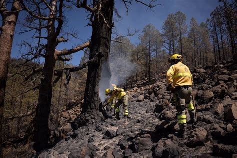 Alerta M Xima Por Riesgo De Incendios Forestales En Las Islas